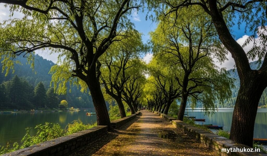  The Willow Way (Nainital)